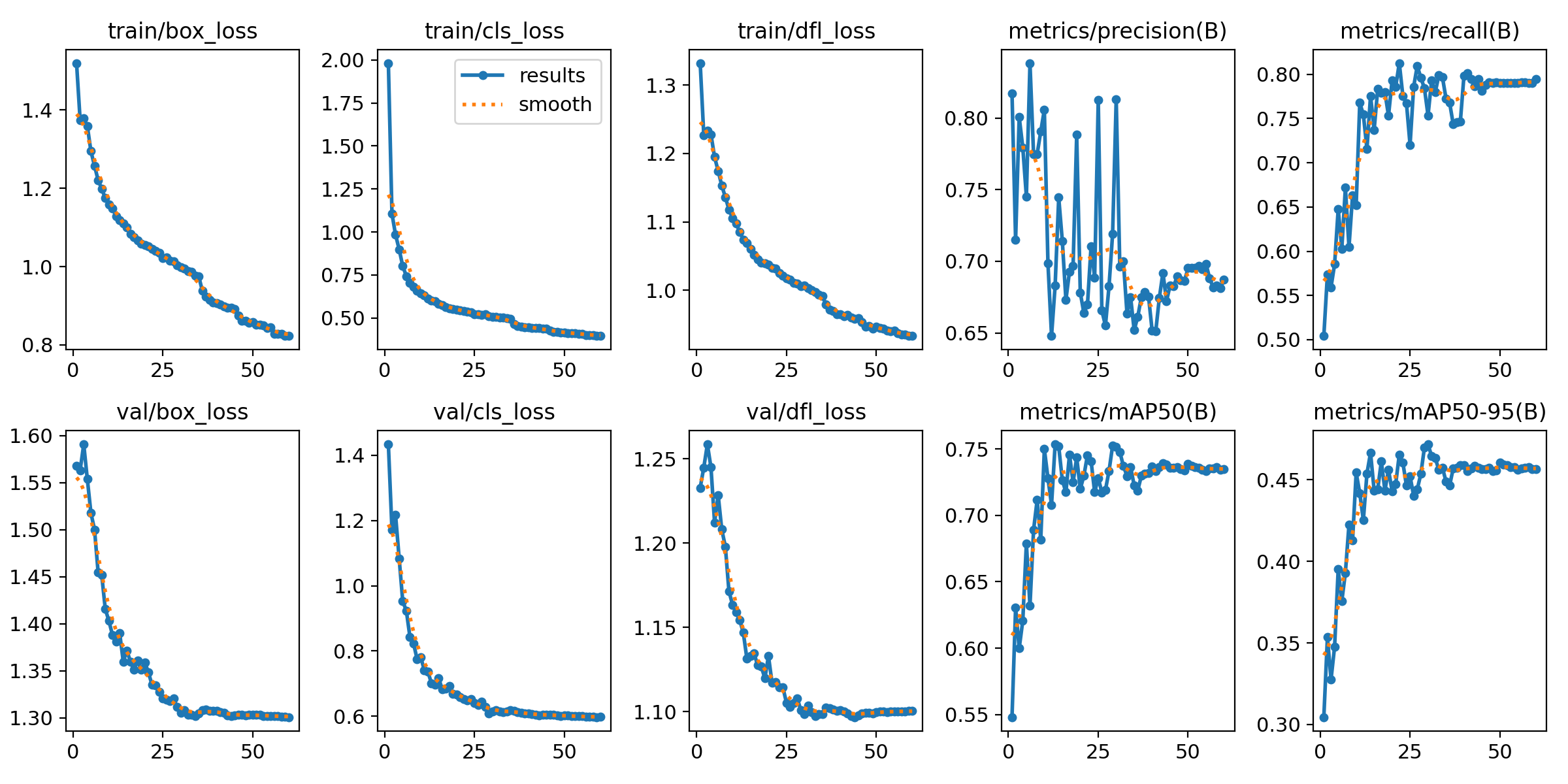 AEVO training and validation curves